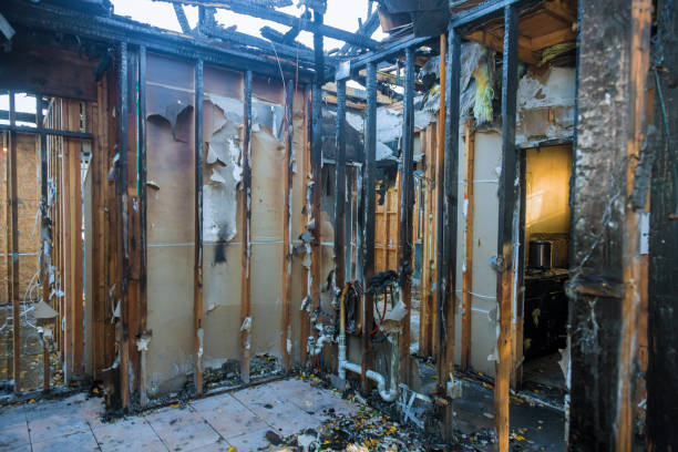 Professional Fire Damage Removal technician working in Bowie, TX